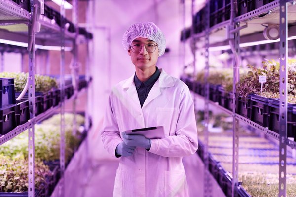 Tunnel de stockage : un bâtiment indispensable pour vos activités agricoles